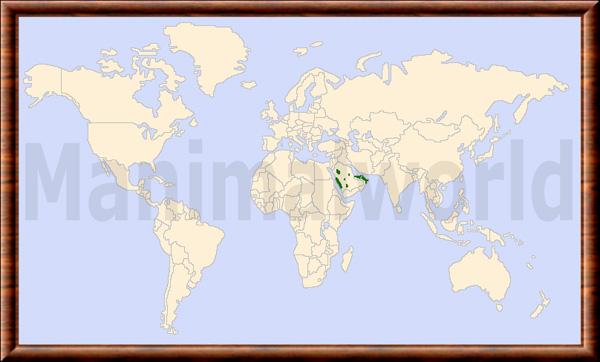 Gazella arabica repartition