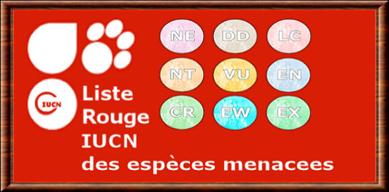 IUCN red list