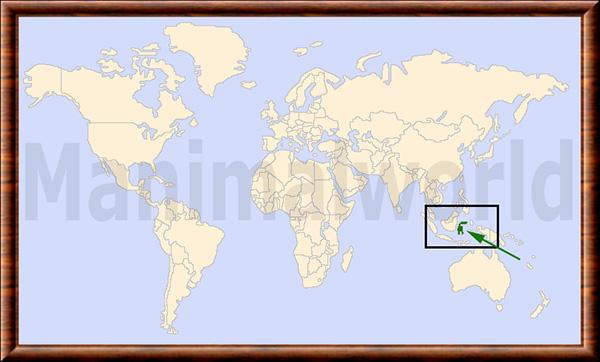 Babyrousa celebensis distribution