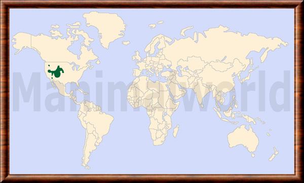 Brachylagus idahoensis distribution