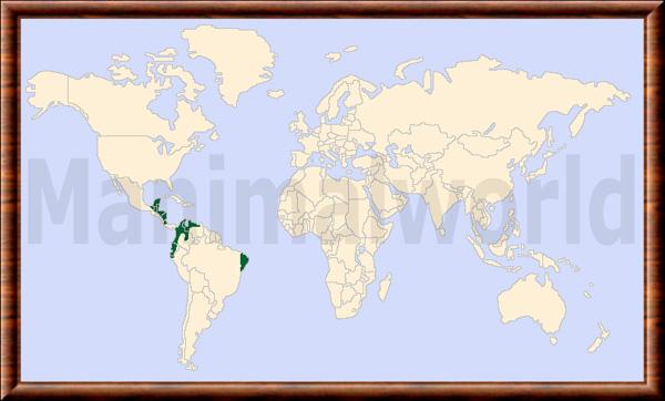 Conepatus semistriatus distribution