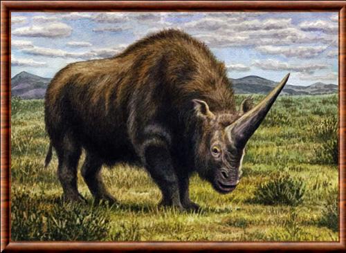 Elasmotherium sibericum