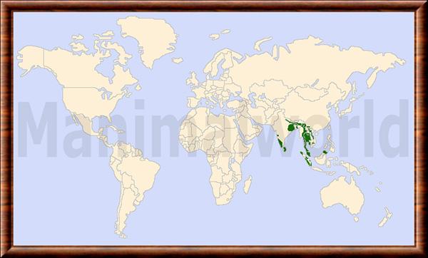 Elephas maximus distribution