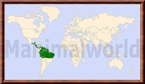 Galictis vittata distribution