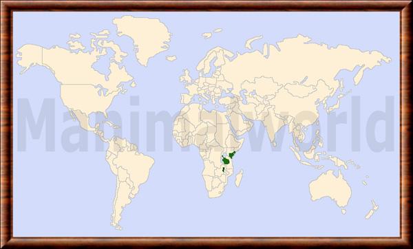 Giraffa tippelskirchi repartition