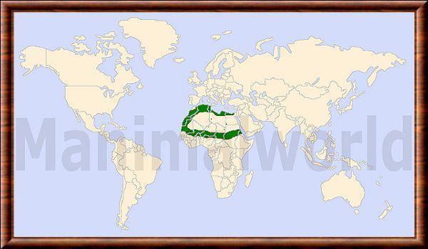 Ictonyx libyca distribution