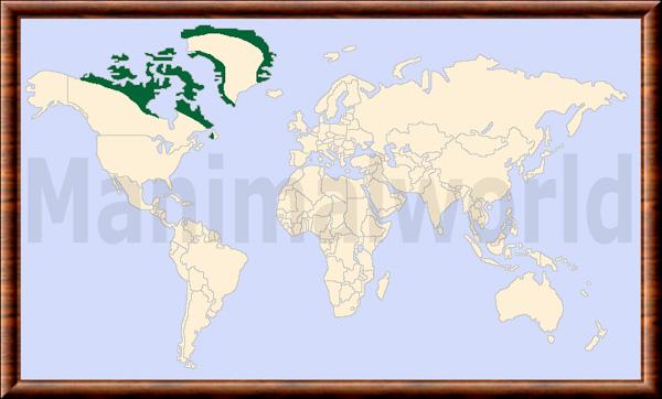 Lepus arcticus distribution