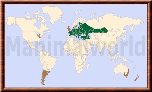 Lepus europaeus distribution