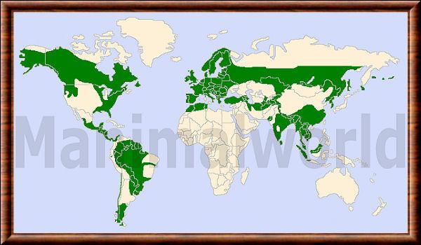 Loutre repartition