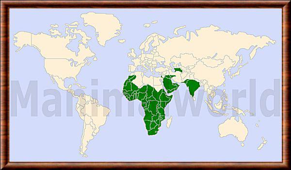 Mellivora capensis distribution