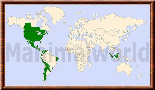 Mephitidae distribution