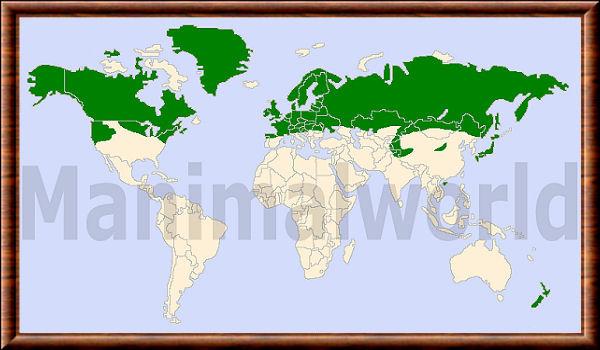 Mustela erminea distribution