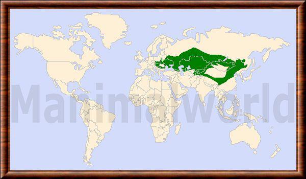 Mustela eversmanii distribution