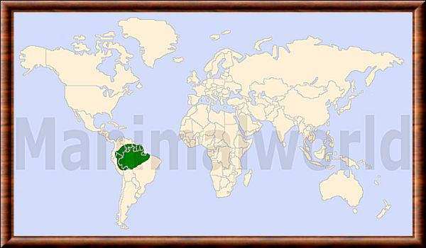 Neogale africana distribution