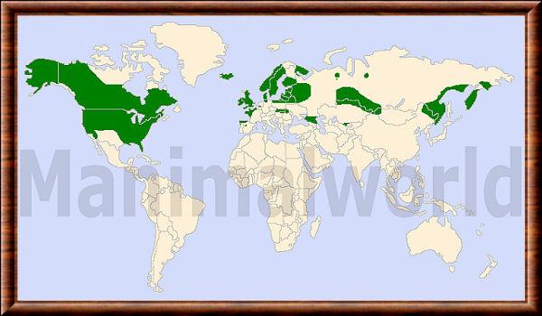 Neogale vison distribution