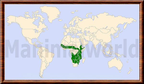 Phacochoerus africanus distribution