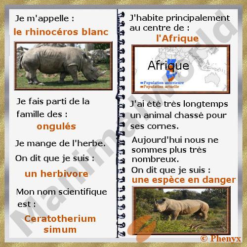 Rhinoceros blanc pour enfant