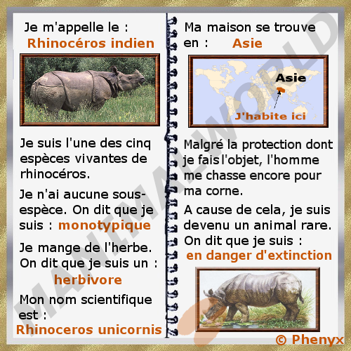 Rhinoceros indien pour enfants