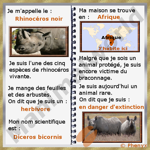 Rhinoceros noir fiche pour enfants