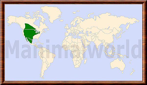 Taxidea taxus distribution