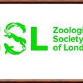 Zoological society of london